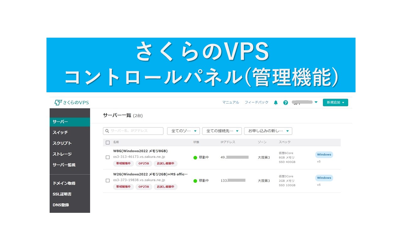 ペインターネット フトアゴン 偏光パール スカラビュース オーバーサングラス メンズ レディース 偏光 UVカット メガネの